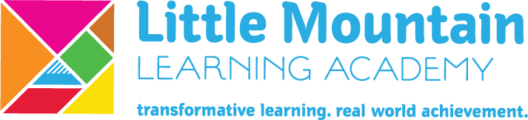 Little Mountain Learning Academy