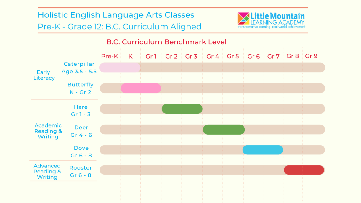 Junior Holistic English Benchmark