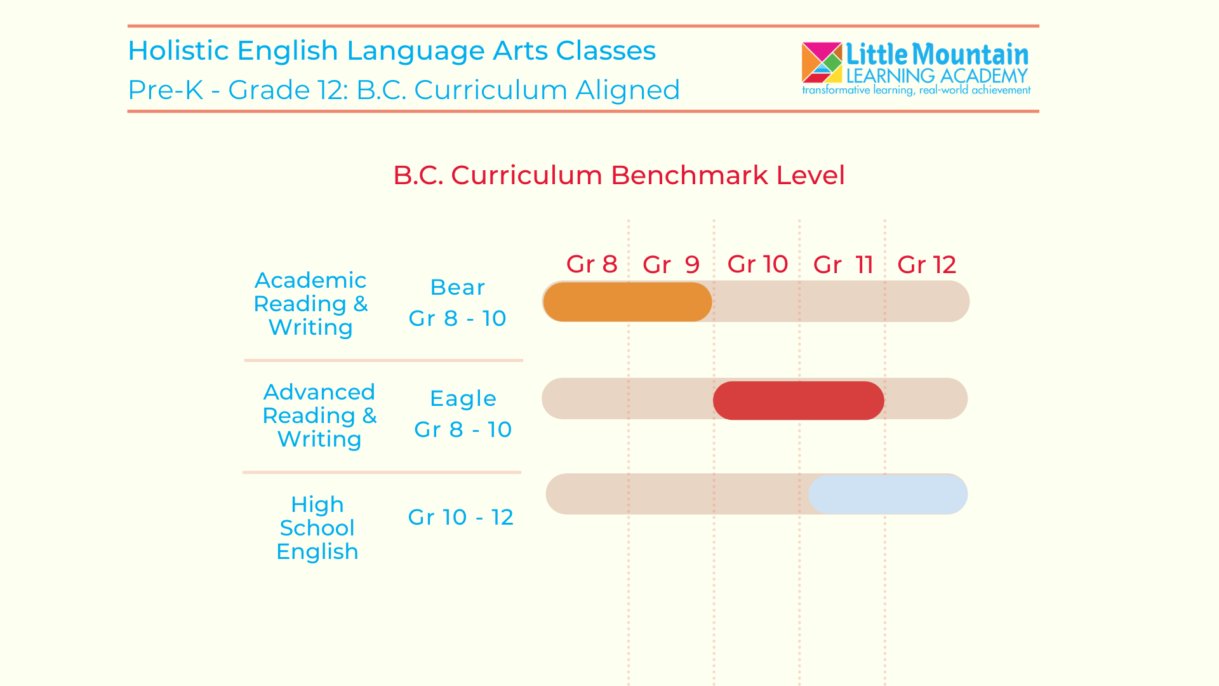 Senior Holistic English Benchmark